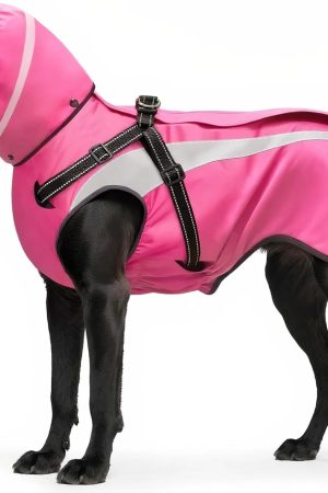 Hooded Rain Poncho for Small Medium Dogs