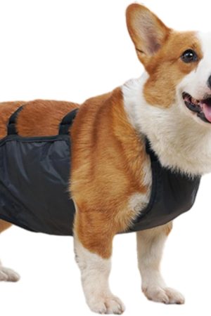 Breathable Corgi Belly Vest Rain Protector
