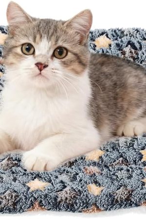 Dual-purpose cat and dog mat