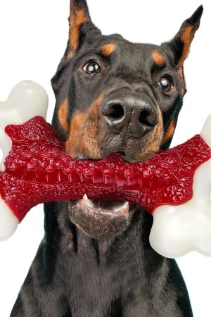 Durable Nylon Bone Chew Toy for Large Breed Aggressive Chewers, Long-Lasting Dog Bone