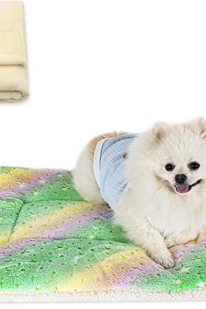 Dual-purpose cat and dog mat and blanket set