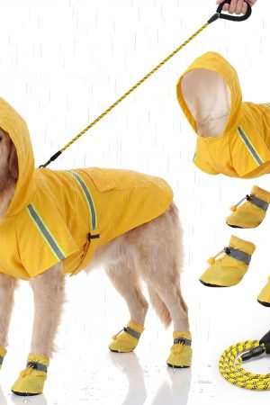 Yellow Raincoat Shoes and Leash Set