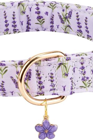 Personalized Dog Collar with Safety Buckle, Cherry Pattern