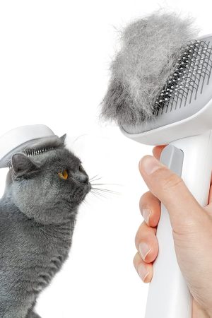 Cat grooming brush with massaging pins, removes loose fur and tangles, suitable for long and short-haired cats, kittens, and rabbits.