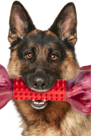 Beef Flavor Nylon & Rubber Chew Bone for Aggressive Chewers, Ideal for Medium to Large Dogs