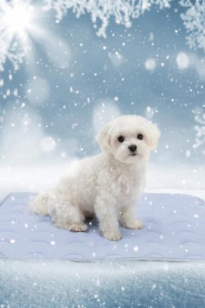 Washable Dog Cooling Mat